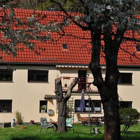 Ferienwohnung An Der Elbe Stadt Wehlen Exterior photo